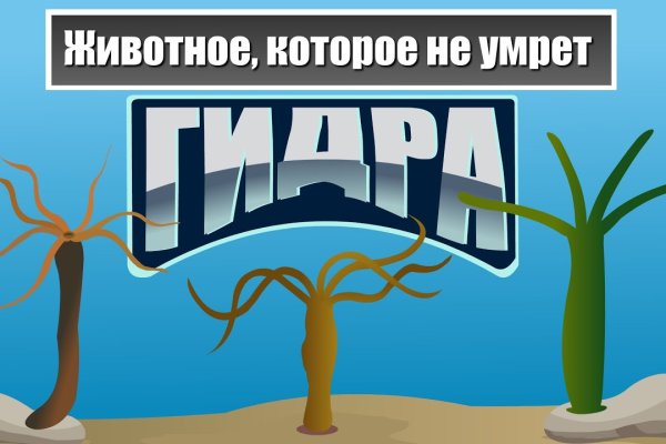 Кракен сайт упал