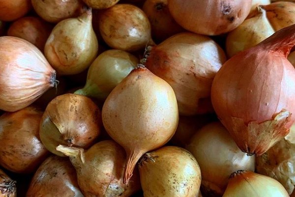 Kraken рабочая ссылка onion