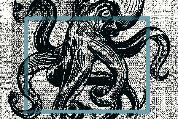 Kraken 6at