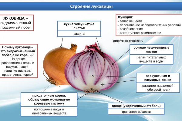 Кракен официальный