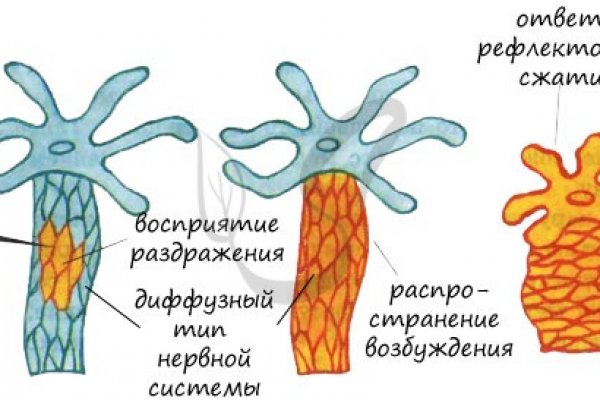 Kra41.cc Вход на сайт главная страница