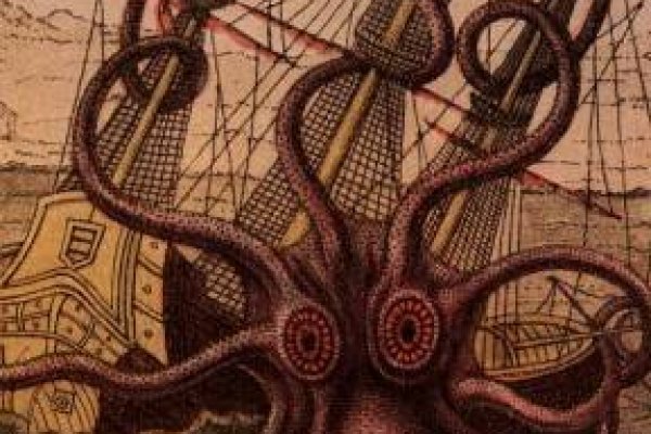 Kraken 20at net
