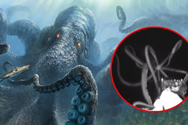 Kraken 18at