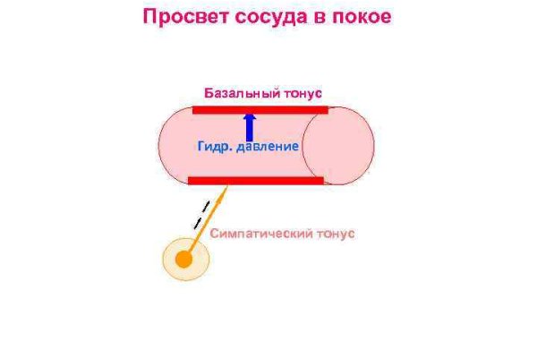Как зайти в кракен с айфона