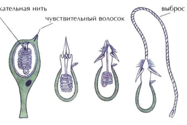 Кракен дарксайд 2025 ссылка